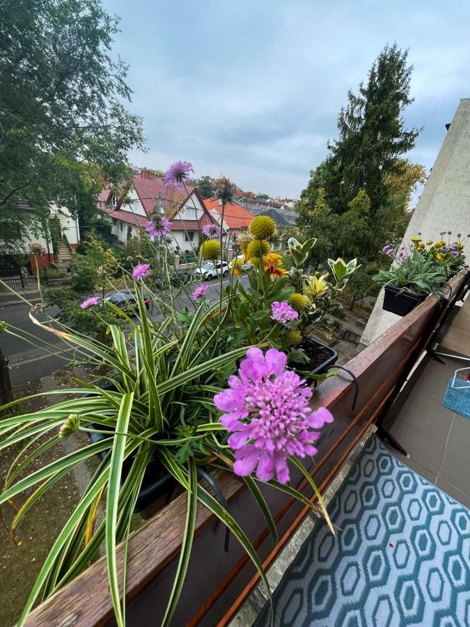 Greatforest Rosehill 1 Apartman Debrecen Buitenkant foto